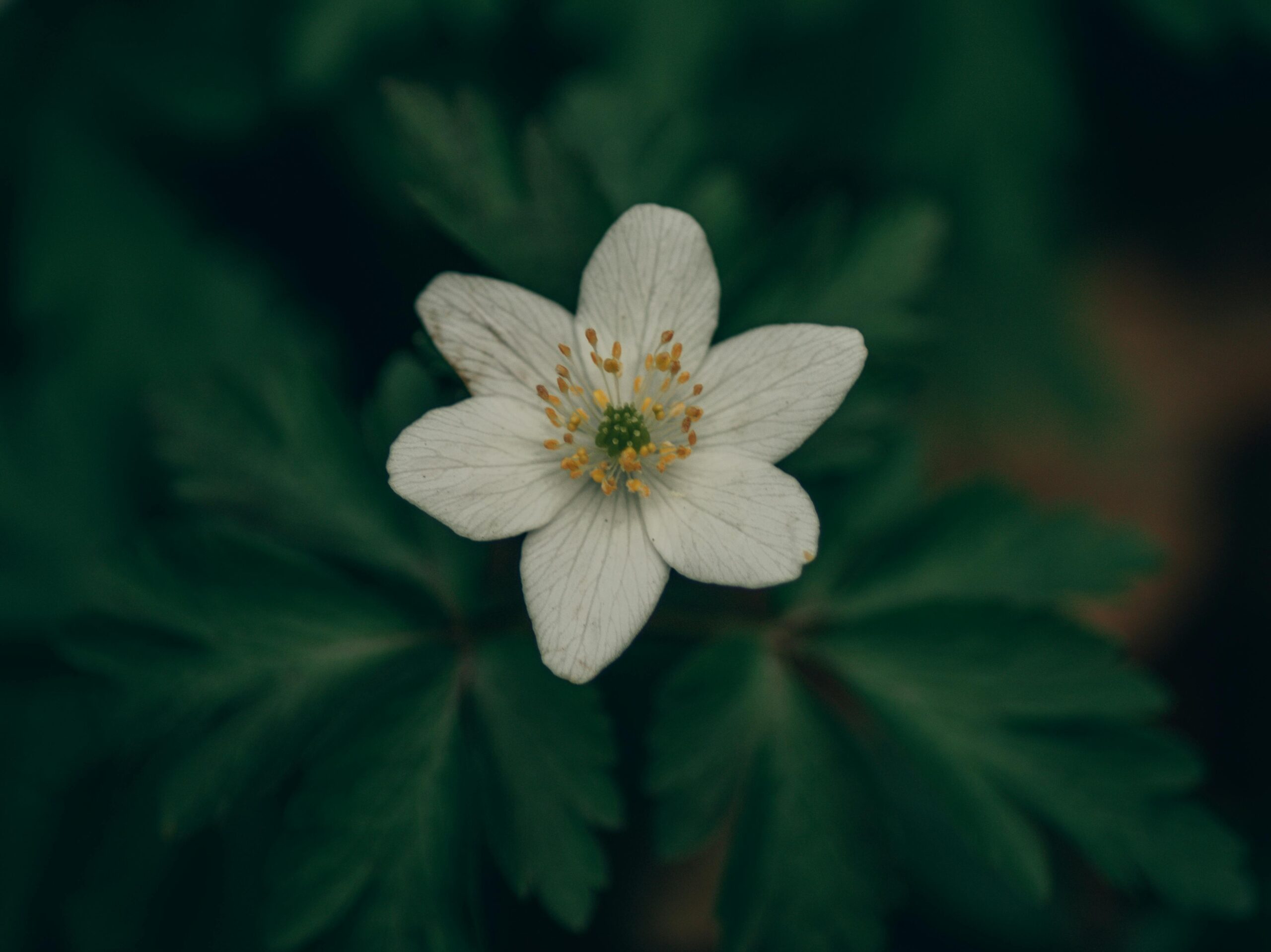 You are enough just as you are?